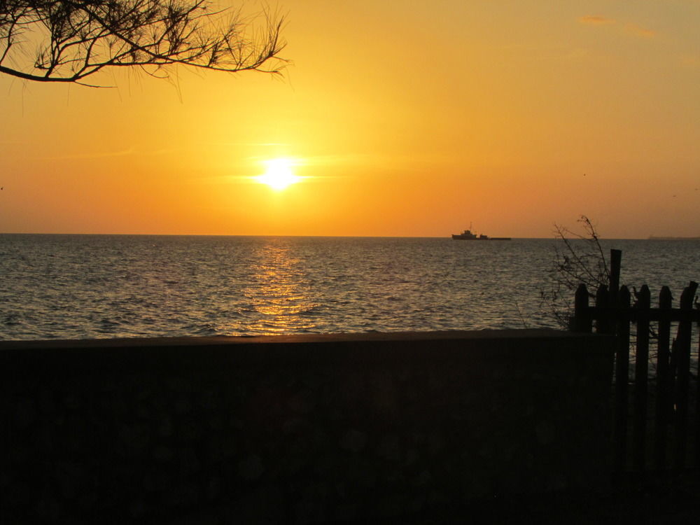 Ocho Rios Villa At Coolshade IV Saint Annʼs Bay Exterior foto