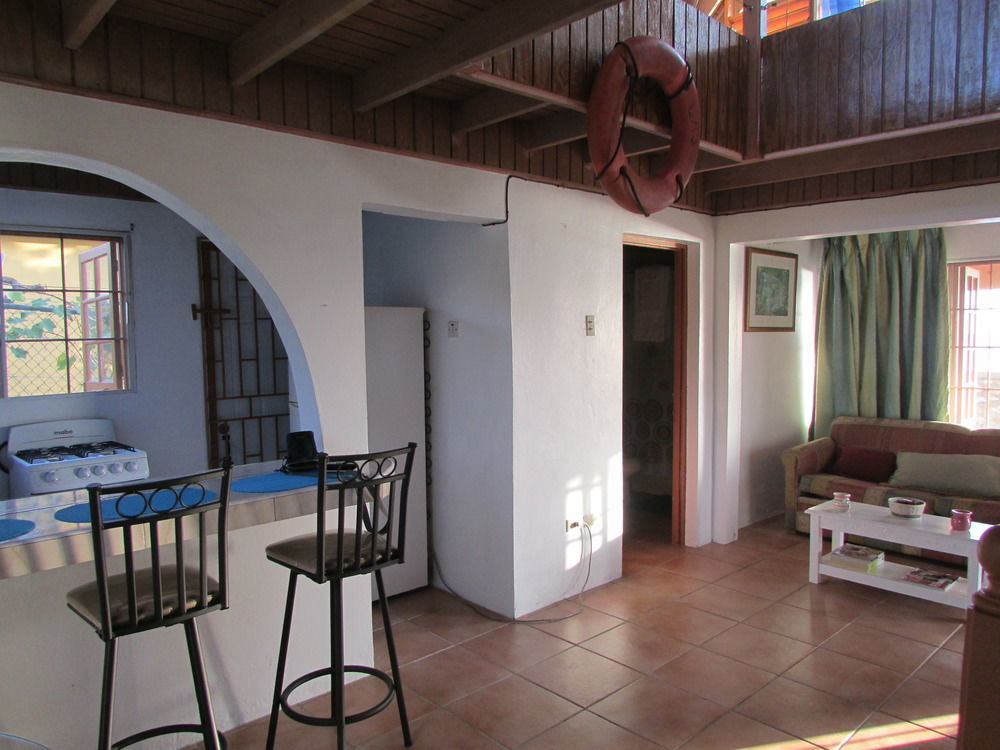 Ocho Rios Villa At Coolshade IV Saint Annʼs Bay Exterior foto